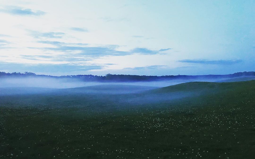 #nebel #fog #blütenberg #chorin #landhaus #brodowin #landhausbrodowin #barnim #uckermark #himmel #sky #