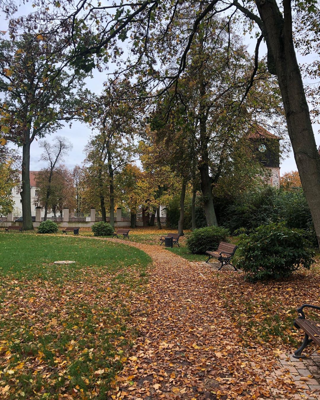 Herbst im Schlosspark Lichterfelde 🤗🍁 #autumn #leaves #park #trees #schorfheide #lichterfelde #barnim