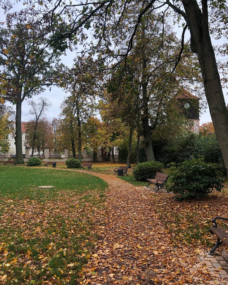 Michael WittstockSchloßpark19. Oktober 2019